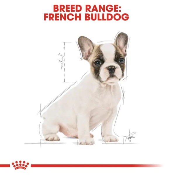 Royal Canin French Bulldog Puppy - Суха храна за подрастващи кучета от порода френски булдог от 2- до 12-месечна възраст